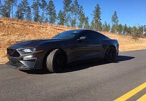 grey horse's supercharged gt