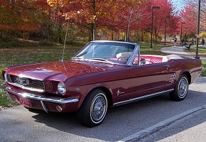 Rick K 1966 Mustang