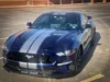 Texan Sin Garage