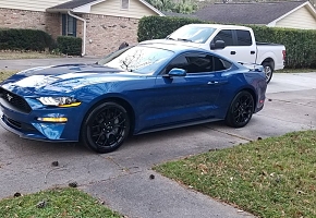 Fourmustangs