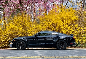 BLACK BETTY