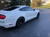2Panther's Oxford White Base GT