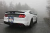 Shelby GT350