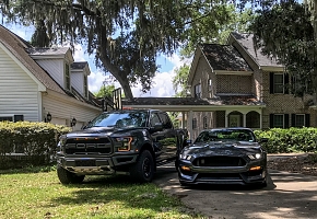 Running with the bulls