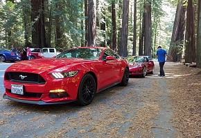 Dizzy's Red Devil