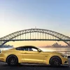 Triple Yellow Mustang