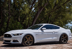 Wazatataza's GT