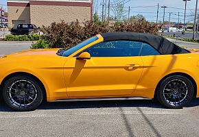 Orange Crush