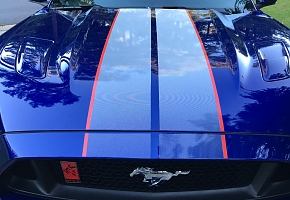 0A8D1279-D02D-4136-9C46-56E6BDFDD0B6.jpeg