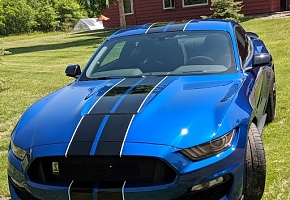 Blue Voodoo