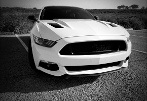 mustang-gt-5.0-stormtrooper-sm.jpg
