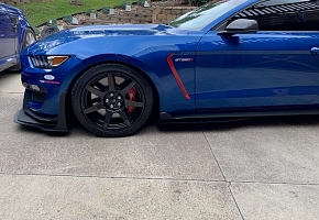 Whipple Shelby