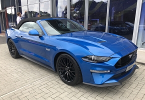 Cuddington Mustang