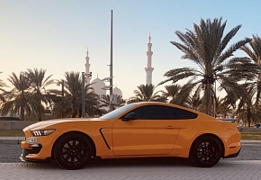 UAE GT350