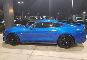 2020 Mustang GT Premium PP1