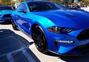 SmartSelect_20191108-193656_Gallery.jpg