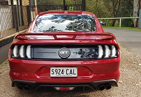 20190619_151700_resized.jpg