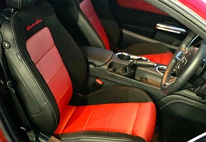 new interior.jpg