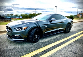 Gray Ghost