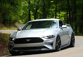 Stang Collection