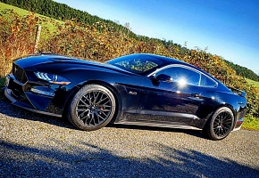 CanadianCruisin
