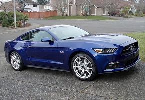 Roy's Mustangs