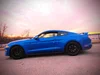 Velocity Blue Turbo Stang