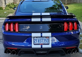 20190809_110936.jpg