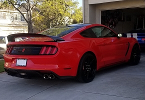 cd55's GT350R
