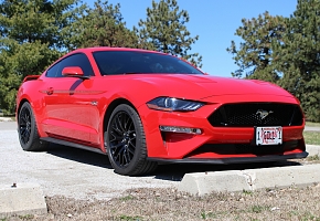 19 GT