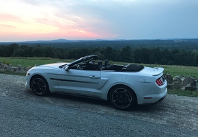 Her Pony