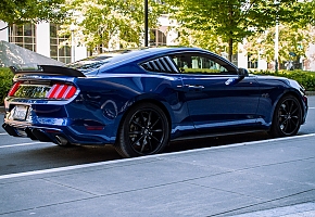 Lavish5.0