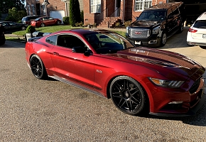 Jobes Mustang