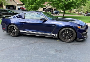 MN Shelby's Garage