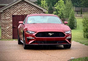 '19 'Stang