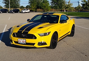 2015 Mustang GT Performance Pack
