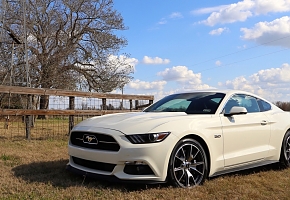 Number 167 2015 GT Limited Edition