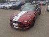 Ruby Red Gt350