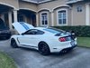 gt350 hood open.jpg