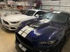 MY STABLE, 50TH & GT500