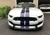 2019 GT350