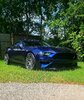 Blu_stallion