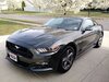 IMG_20160401_172001.jpeg