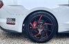 IMG_8623.jpeg
