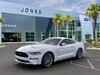 2019_ford_mustang-pic-7407543351208652965-1024x768.jpeg
