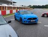 Grabber Blue Mustang GT
