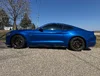 IMG_3987 (3).webp