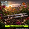 lp res hh w:text spring sale.webp