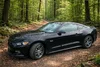 mustang 16GT.webp