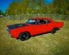 harrys-69-roadrunner_10x8.webp